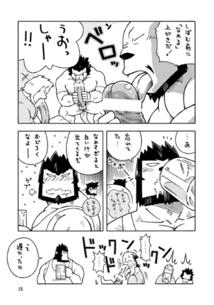 ガルヒュム本3 - ガルカとガルカのガル酒場 Page #14