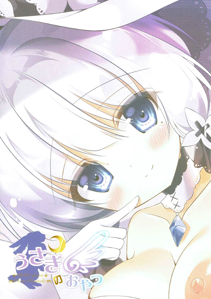 일러스트리어스와 비밀의 야전 / Illustrious to Himitsu no Yasen