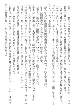 イジメっ子お嬢様に倍返し！？ イジメの罰としてなんでもします Page #313