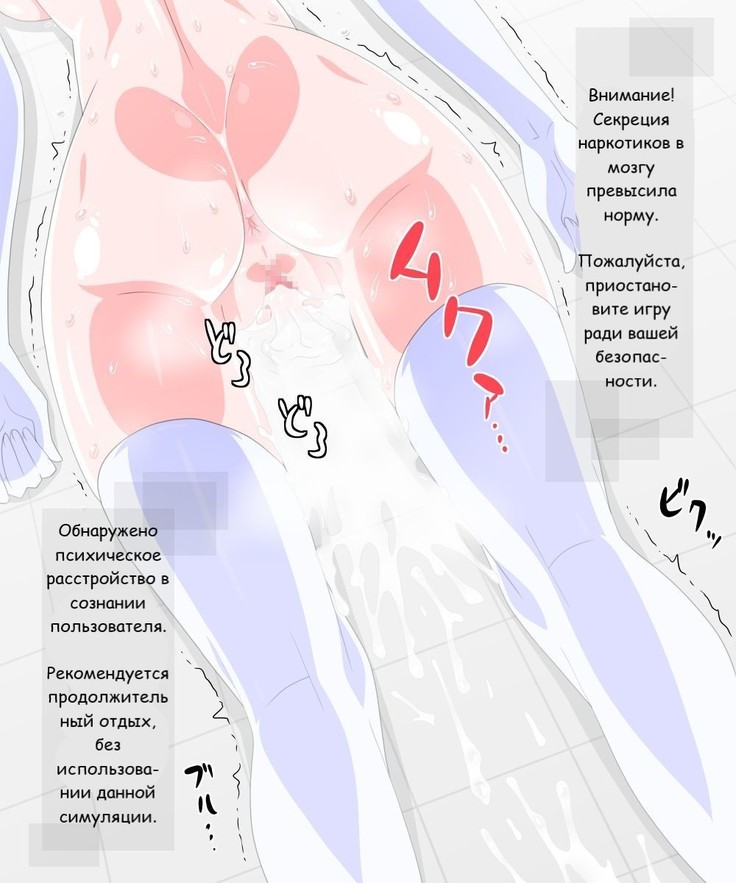 Virtual Nyotaika Program