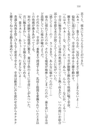 お嬢様☆お世継ぎ生産計画 - Page 112
