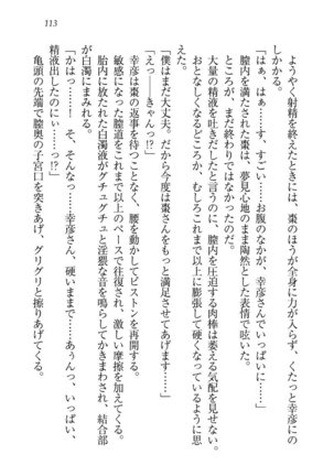 お嬢様☆お世継ぎ生産計画 - Page 115