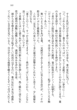 お嬢様☆お世継ぎ生産計画 - Page 105