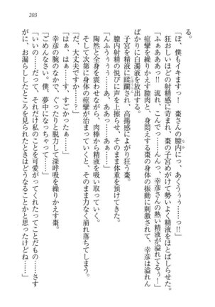 お嬢様☆お世継ぎ生産計画 - Page 205