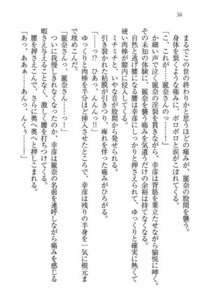 お嬢様☆お世継ぎ生産計画 - Page 58