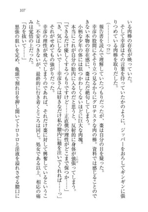 お嬢様☆お世継ぎ生産計画 - Page 109