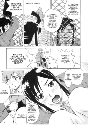 Image 3997325