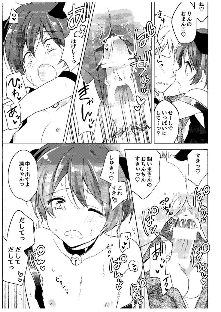 Haru no Samishi ga Rin-chan