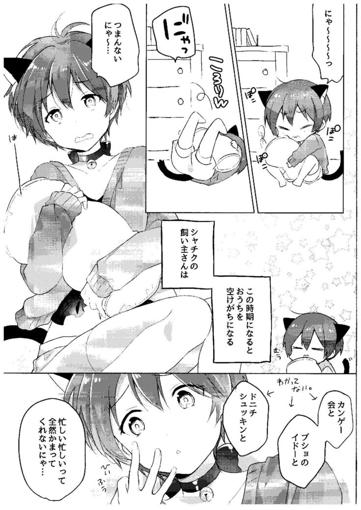 Haru no Samishi ga Rin-chan