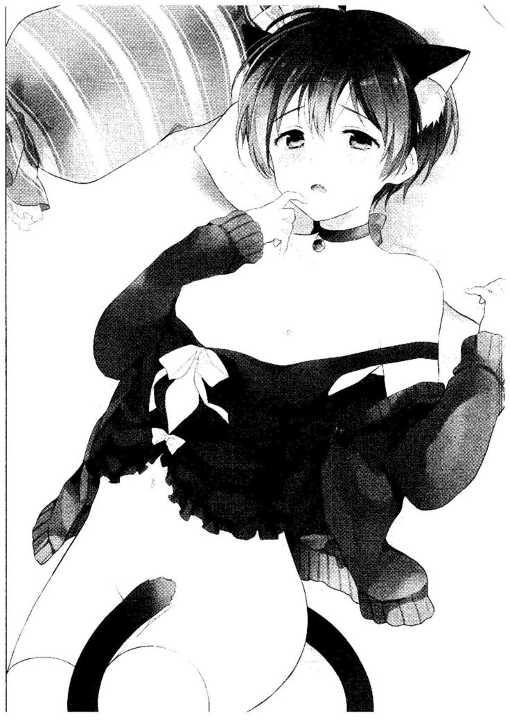 Haru no Samishi ga Rin-chan