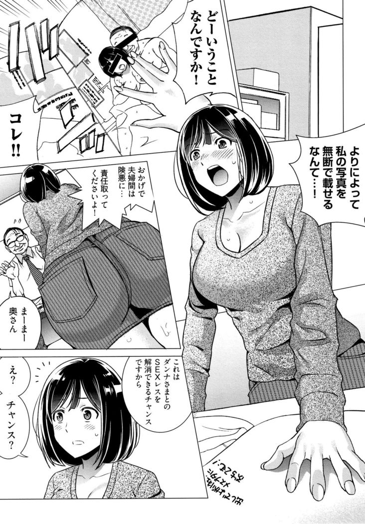 Ibitsu Henai