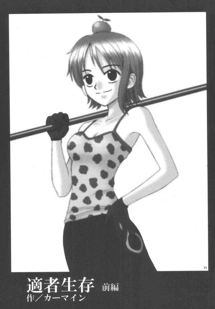 Koukai Soushuuhen