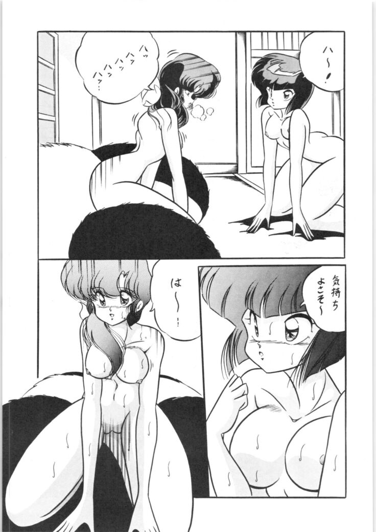 C-COMPANY SPECIAL STAGE 10