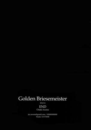 Golden Briesemeister Page #45