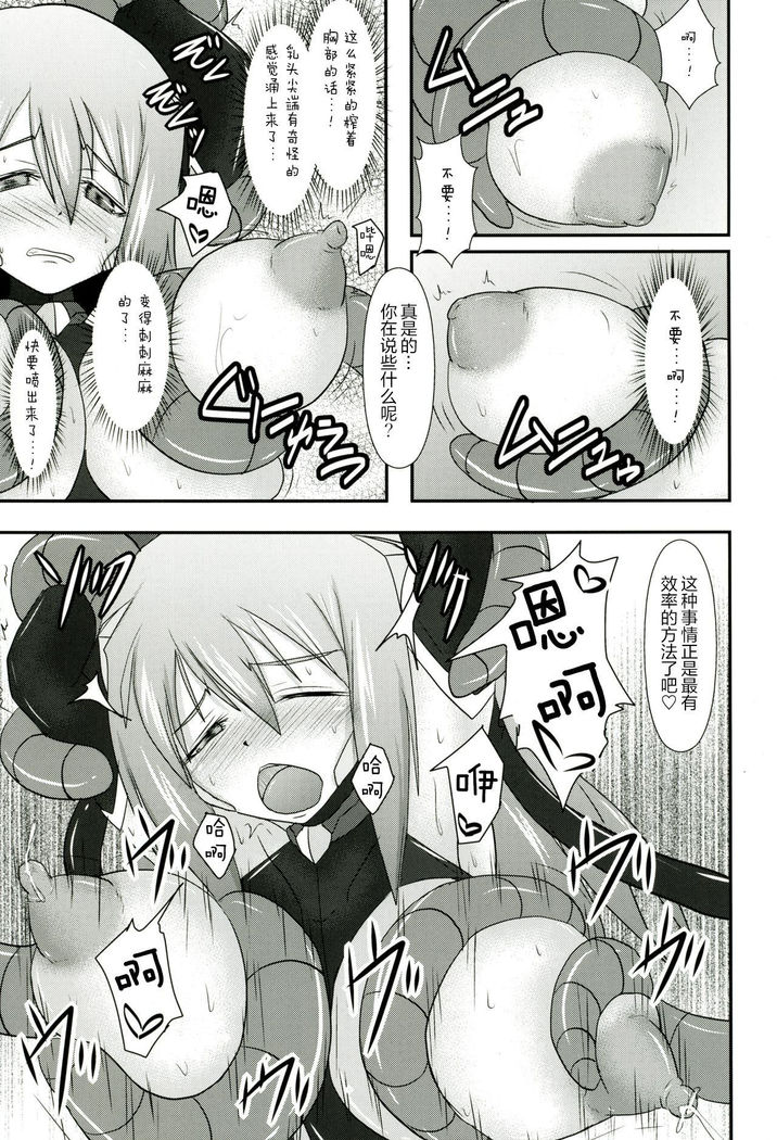Shield Knight Elsain Vol.11 "NETHER LABORATORY"