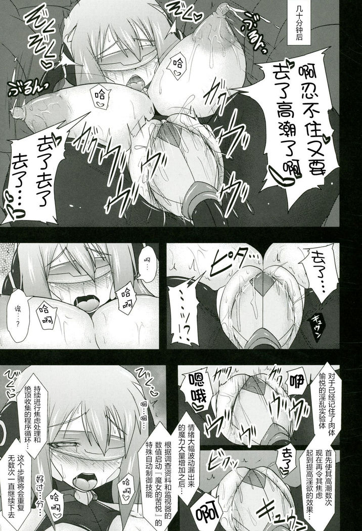 Shield Knight Elsain Vol.11 "NETHER LABORATORY"