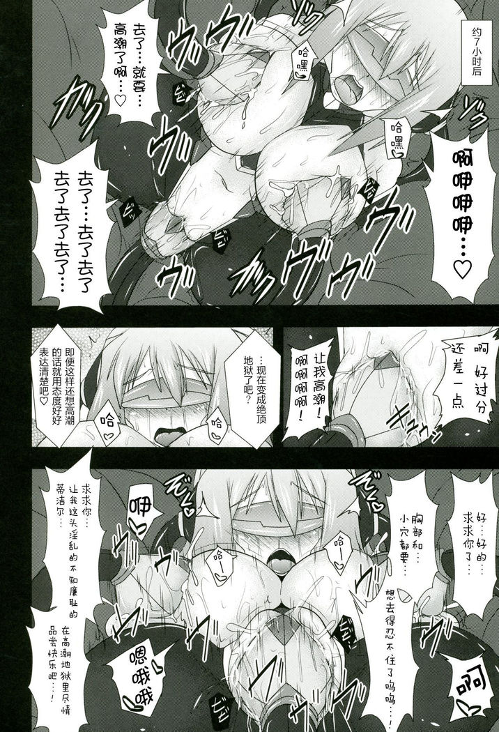 Shield Knight Elsain Vol.11 "NETHER LABORATORY"