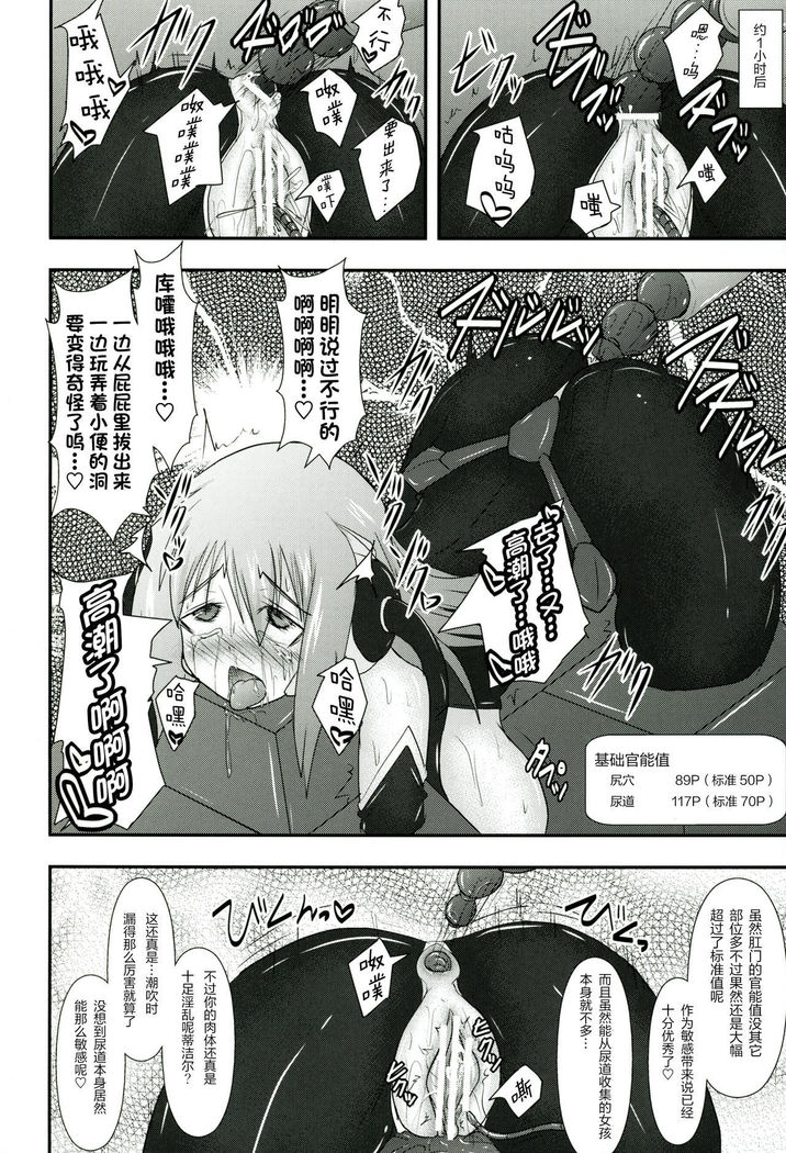 Shield Knight Elsain Vol.11 "NETHER LABORATORY"
