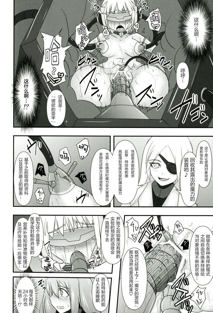 Shield Knight Elsain Vol.11 "NETHER LABORATORY"