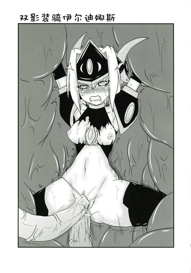 Shield Knight Elsain Vol.11 "NETHER LABORATORY"