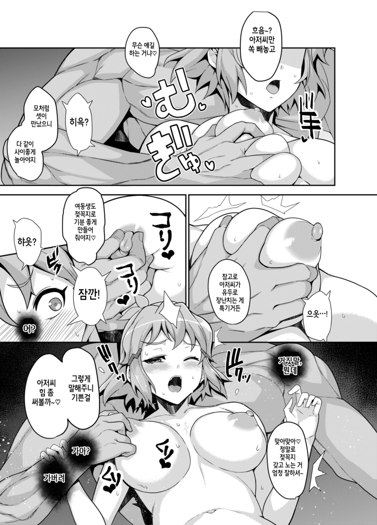 Symphogear no Usui Hon