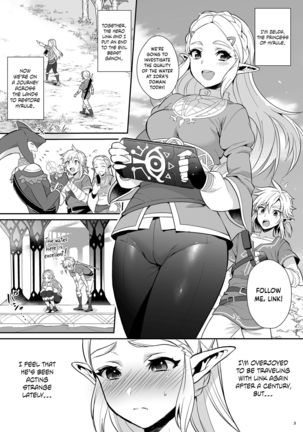 Hyrule Hanei no Tame no Katsudou! | Taking Steps to Ensure Hyrule's Prosperity!   =The Lost Light= - Page 4