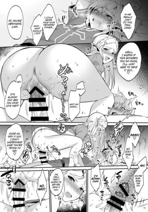 Hyrule Hanei no Tame no Katsudou! | Taking Steps to Ensure Hyrule's Prosperity!   =The Lost Light= - Page 16