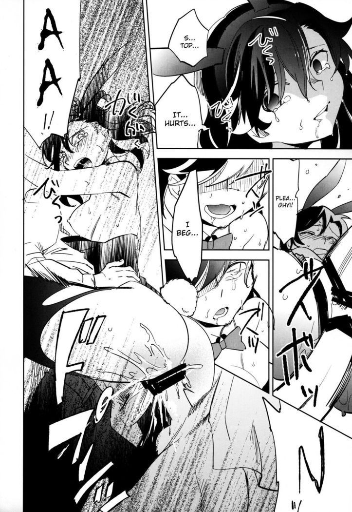 Yojo-han Bunny Part 4