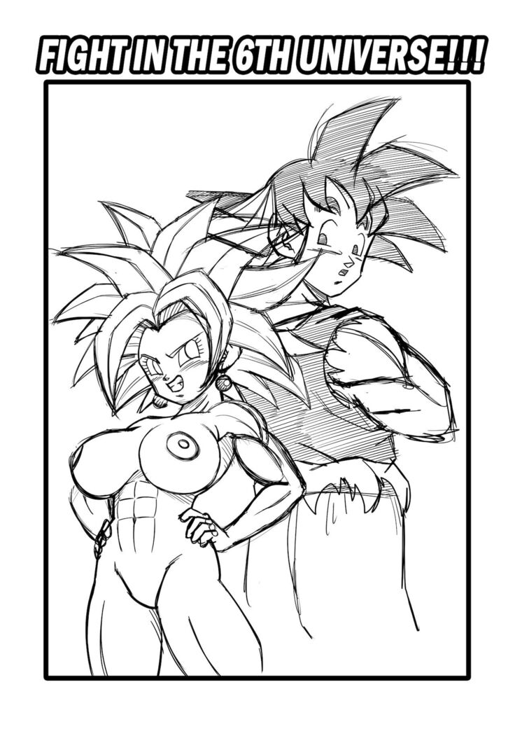 Fight in the 6th Universe!!!