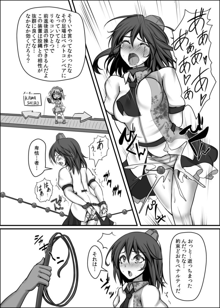 Shameimaru Aya Kyousei Zecchou Souchi