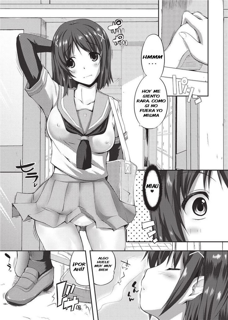 Kokkurai Alert