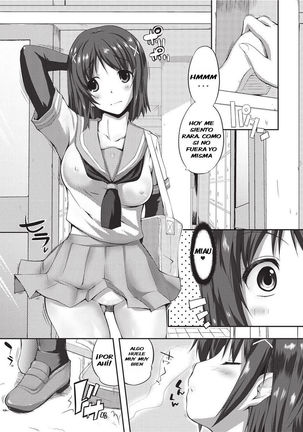 Kokkurai Alert