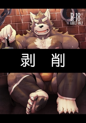 Image 5054247