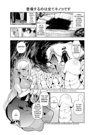 Futanari no Elf Page #25