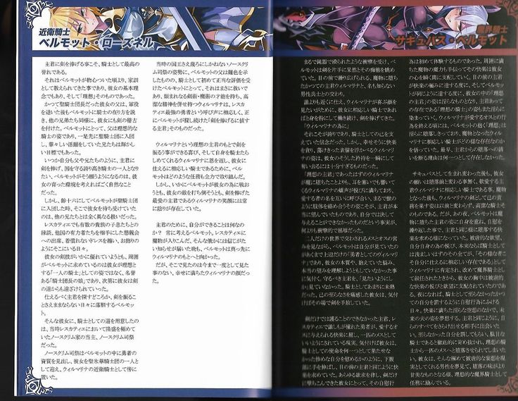 魔物娘図鑑ワールドガイド外伝2 サルバリシオン～レスカティエの魔界騎士たち～