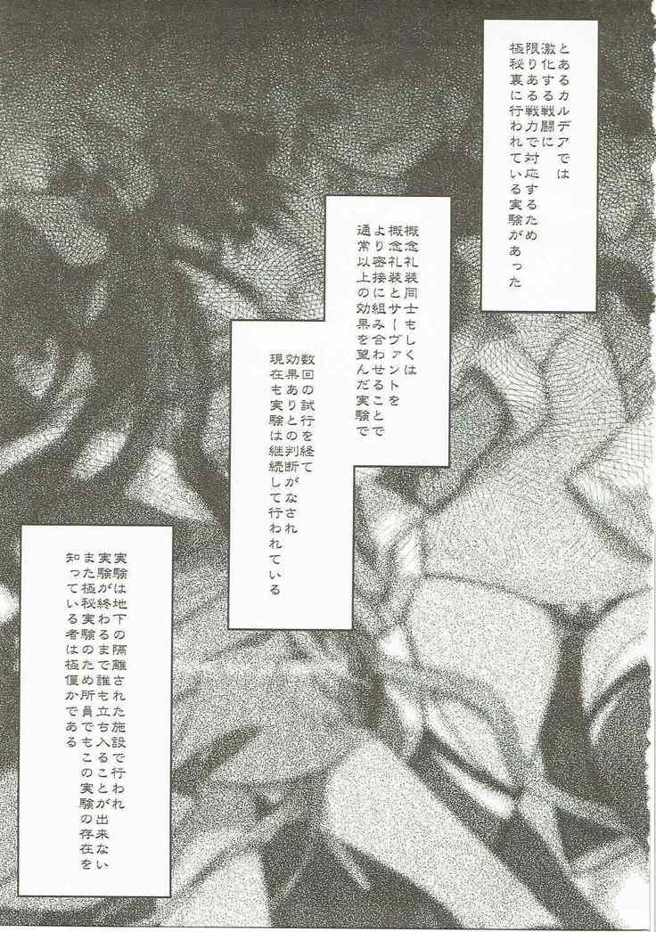 Giji Genkai Toppa Jikken Houkokusho 02