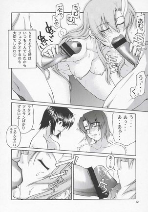 Gundam Seed - Thank You! Rakusu - Page 11