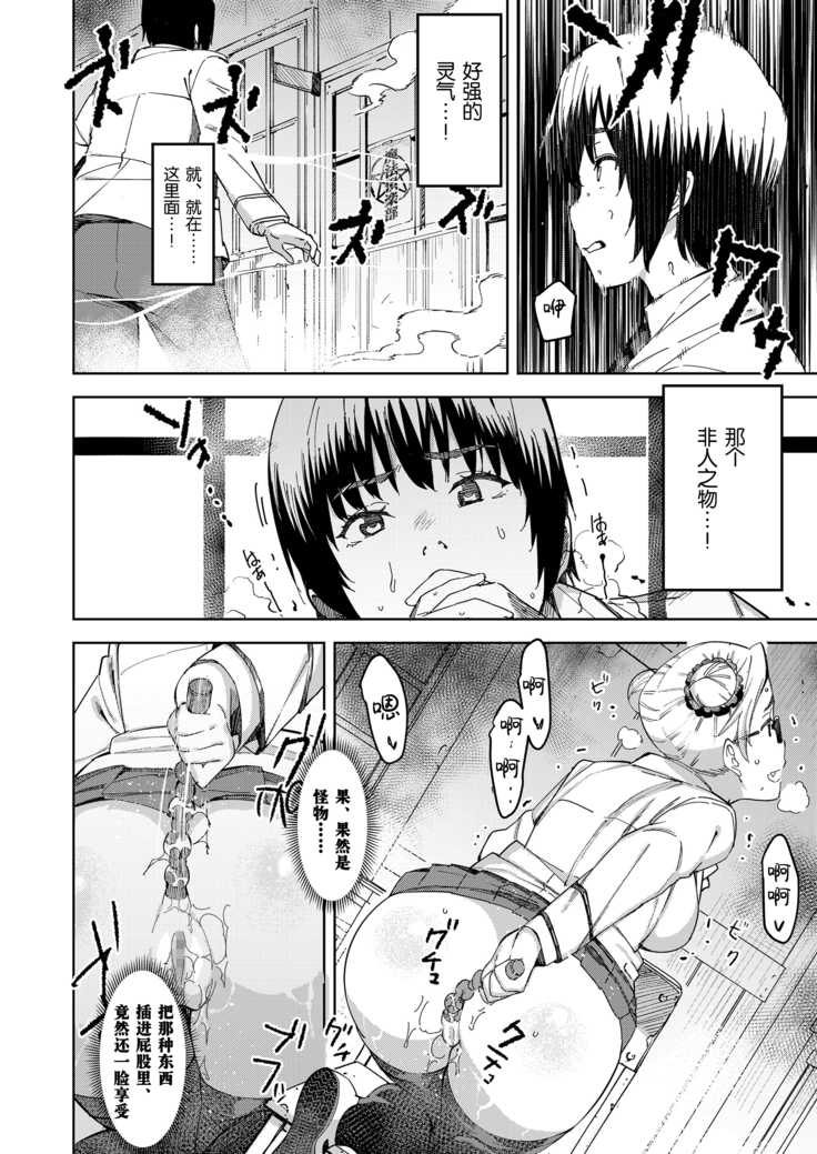 Devil Mako+Devil Mako Anacalpussies