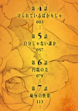 Image 13283711