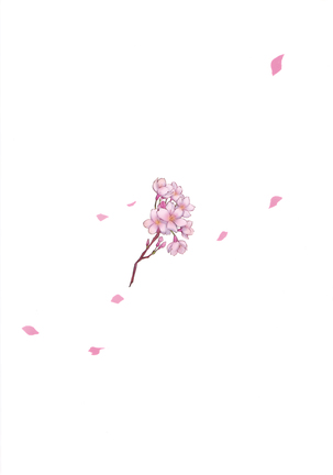 Image 4019046