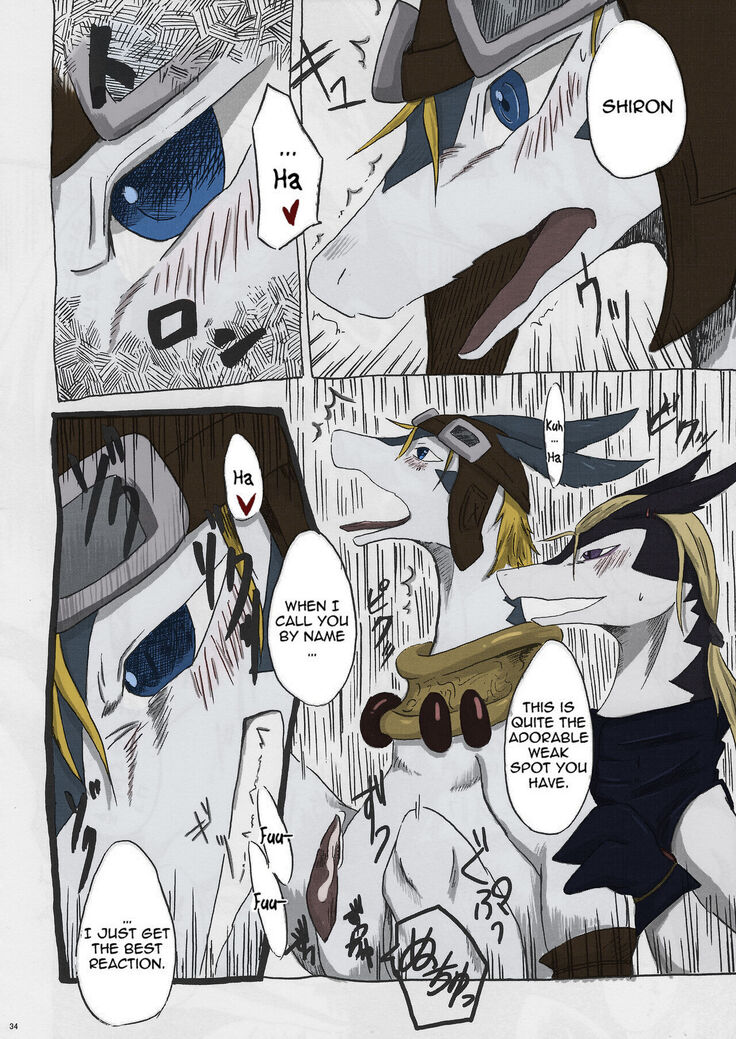 Black Horse Love Hole