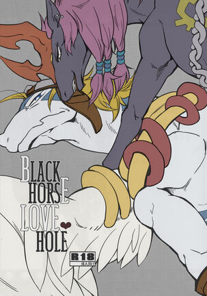 Black Horse Love Hole