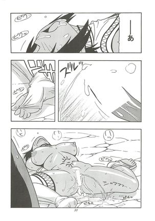 （同人誌） 　CELVARG2 Page #29