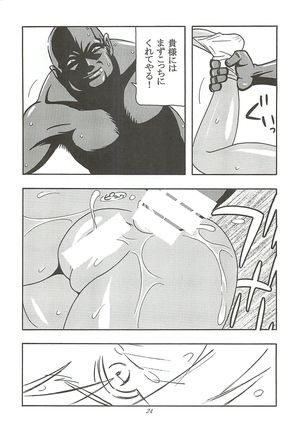 （同人誌） 　CELVARG2 Page #23