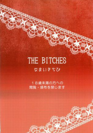 C88 THE BITCHES Page #2