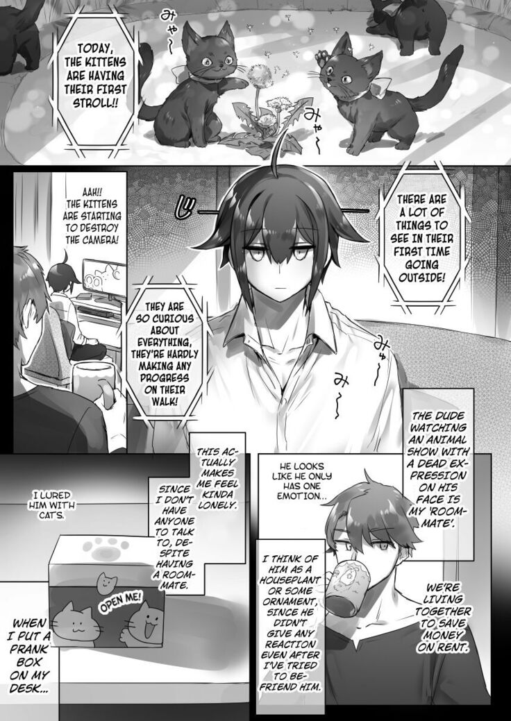 Nyotaika/TSF Summary!
