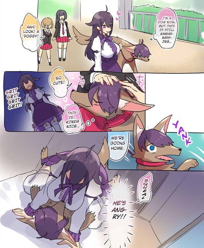 Nyotaika/TSF Summary!
