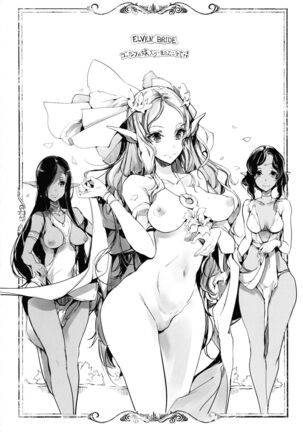 Elf no Yomeiri Page #193