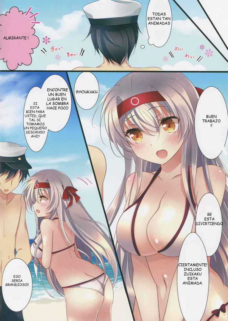 Mizugi no Shoukaku-san wa Ikaga?