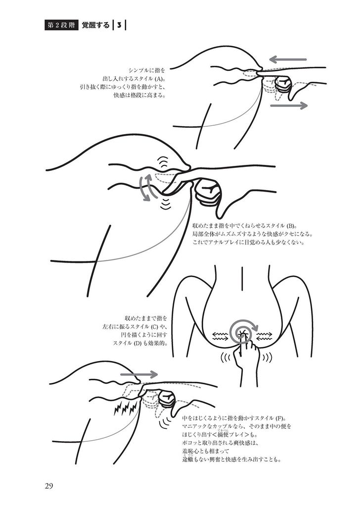 アナル性感開発・お尻エッチ 完全マニュアル